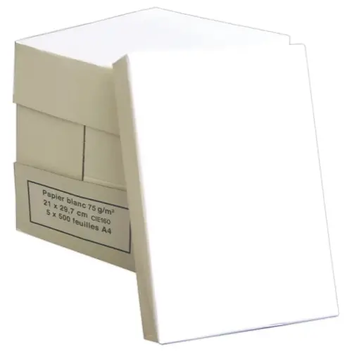 5 ramettes de 500 feuilles - Papier blanc - A4 - 75g - Économique