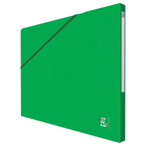 10 Chemises - Alpina - Carte lustrée - Vert - OXFORD