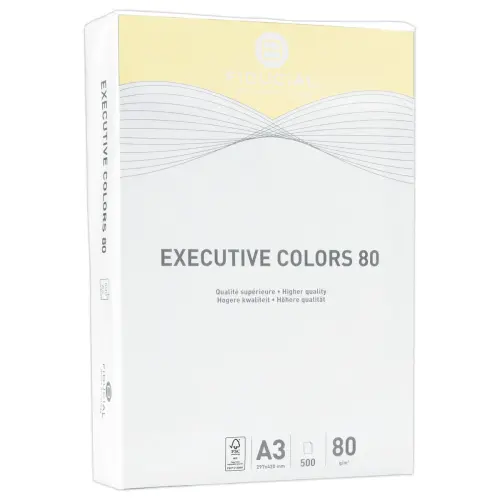 Ramette de 500 feuilles papier couleurs pastel A3 Executive Colors - Jaune - FIDUCIAL