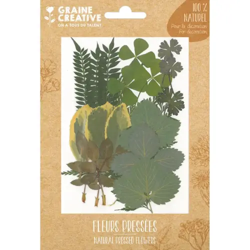 Sachet de 21 fleurs séchées - Forêt - GRAINE CREATIVE
