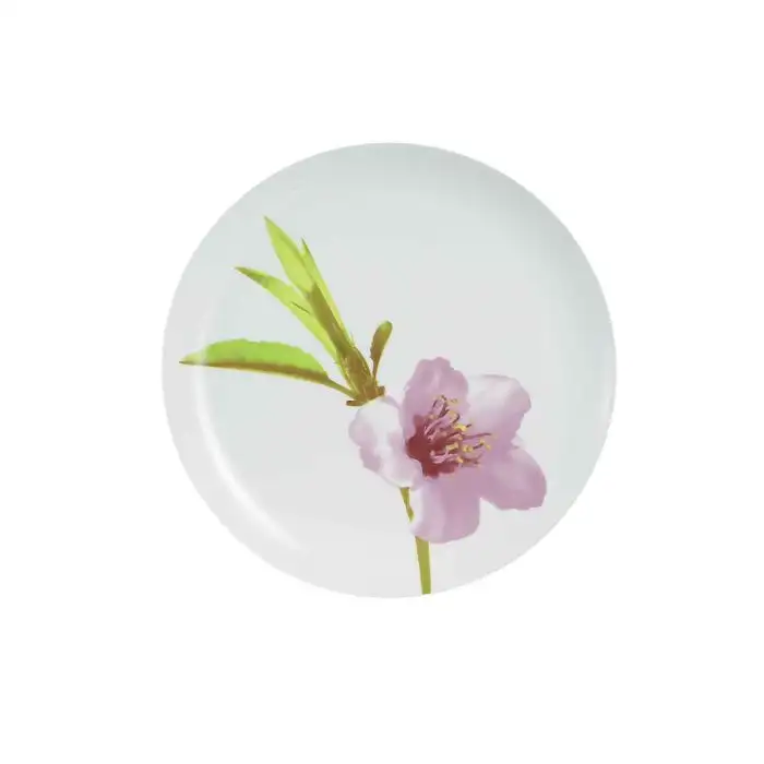 Water Color Ass Plat 25