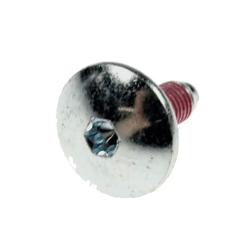 Vis de poulie d'origine Lave-linge 480111104699, C00309517 LADEN Lave-linge 480111104699, C00309517 LADEN